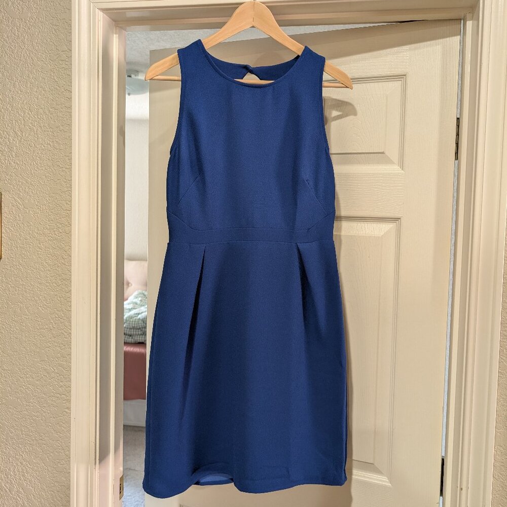 Sleeveless Dress for Work or Parties (Versatile!)